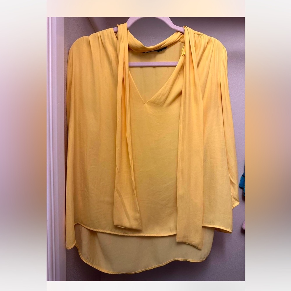 Zara blouse
